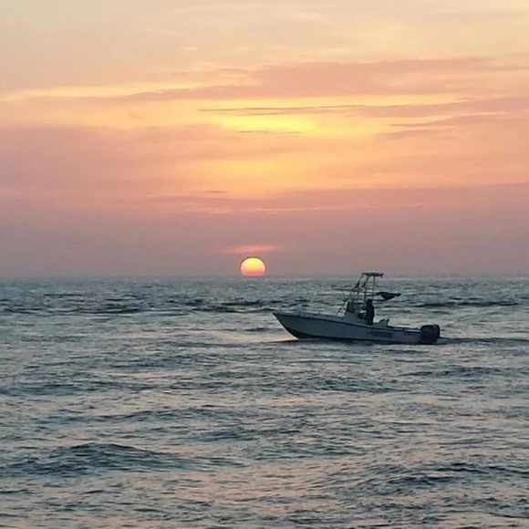 Meet your Posher, Kassidy - Picture 1 of 1